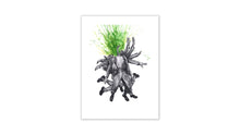 Load image into Gallery viewer, FALSE