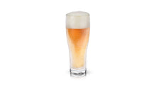 Load image into Gallery viewer, Viski Glacier Double Walled Chilling Beer Glass
